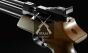Artemis PP800