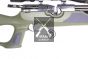 Weihrauch HW 100 T F.S.B. OD Green PCP