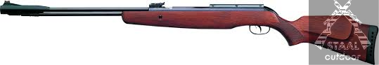 Gamo CFX Royal Luchtbuks 