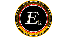 EK Archery logo